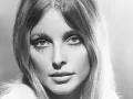 1_sharon_tate01.jpg