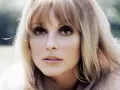 1_sharon_tate03.jpg