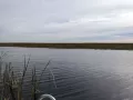 everglades20