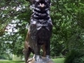 balto01