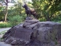 balto06