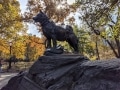 balto11