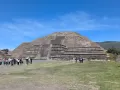 teo11