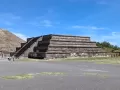 teo22