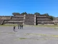 teo24