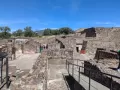 teo38