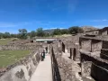 teo39