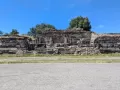 teo47