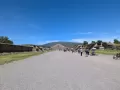 teo50