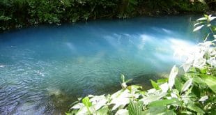 La coloración del agua de este río Celeste es producto de una combinación de factores físicos, químicos y ópticos. Crédito: UCR/Max Chavarría Vargas