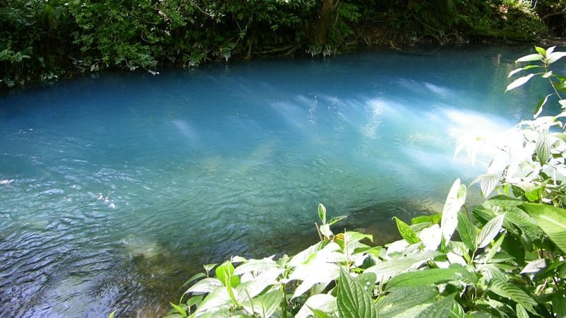 La coloración del agua de este río Celeste es producto de una combinación de factores físicos, químicos y ópticos. Crédito: UCR/Max Chavarría Vargas