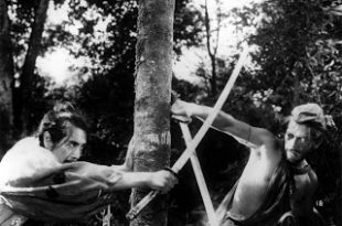 Rashomon