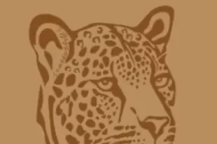 Jaguar tico