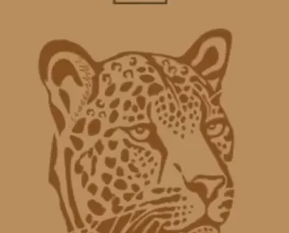 Jaguar tico