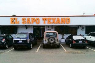 Sapo Texano