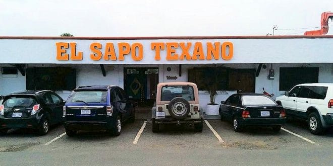 Sapo Texano