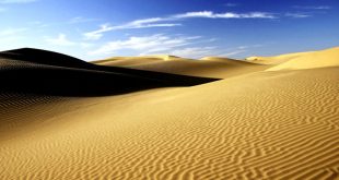 El Sahara: Mar, Selva y Desierto