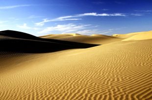 El Sahara: Mar, Selva y Desierto