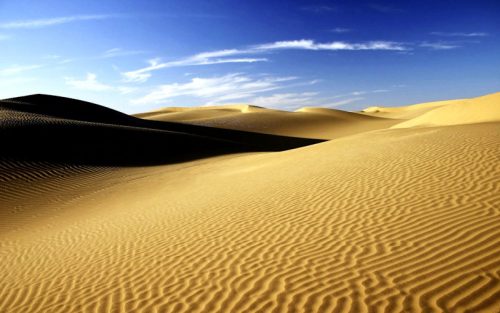 El Sahara: Mar, Selva y Desierto