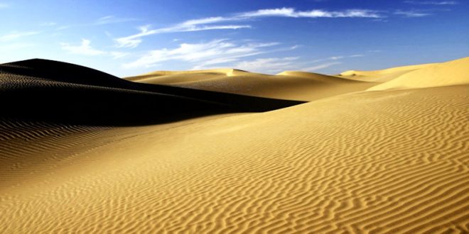 El Sahara: Mar, Selva y Desierto