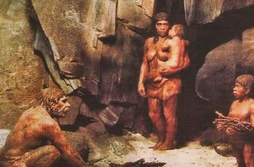 Los denisovanos