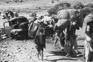 La Nakba a los 68: una catástrofe nacida de la discriminación y la impunidad