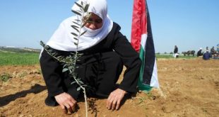 Conflicto palestino-israelí, 50 años de fracaso de la ONU