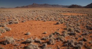 ‘Círculos de hadas’ en el desierto de Namibia (África) / Jen Guyton