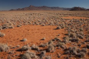 ‘Círculos de hadas’ en el desierto de Namibia (África) / Jen Guyton