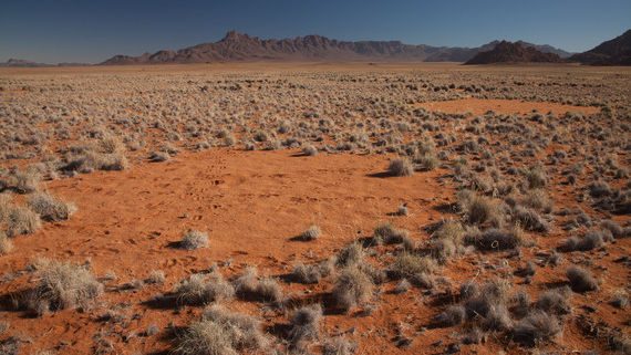 ‘Círculos de hadas’ en el desierto de Namibia (África) / Jen Guyton