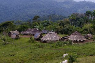 Crónica de un viaje a Talamanca