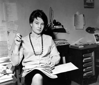 Ulrike Meinhof: la biografía. Entrevista
