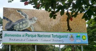 Tortuguero es un santuario natural