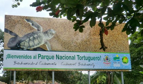 Tortuguero es un santuario natural