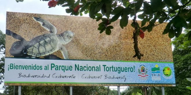 Tortuguero es un santuario natural