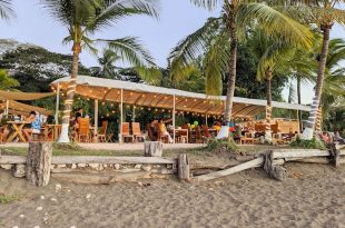 Hemingway's