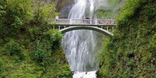 Puente Benson