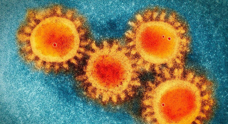 ¿Cuál gripe mató a un millón de personas en 1968 y actuó como el COVID-19?