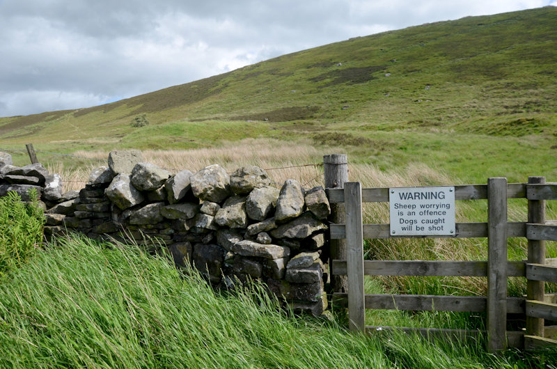 Muralla de Adriano: ruta senderista del imperio romano en Inglaterra