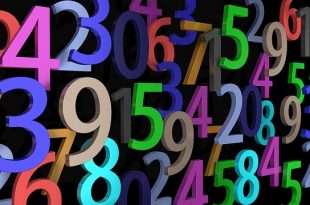 El universo de los números