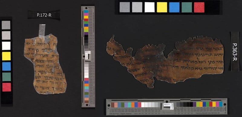 El ADN de los Manuscritos del Mar Muerto desvela algunos de sus secretos
