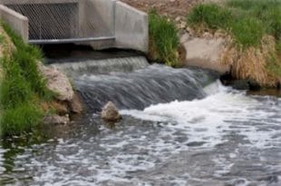 Confusiones cronológicas en la detección del “sars-cov-2” en aguas residuales