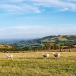 Gales, tradición celta y pueblos de pintoresca belleza