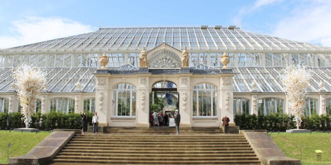 Un mundo maravilloso en el Jardín Botánico de Kew en Londres