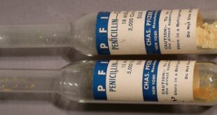 Penicilina y covid-19: la historia se repite