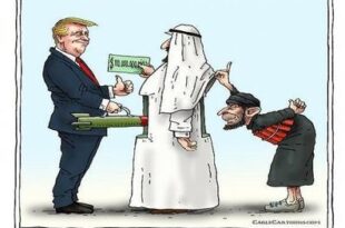 Yemen, la guerra contra Irán y sus principios