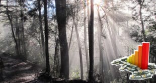 Salvar a la naturaleza, por ende a la humanidad, requiere de una gran inversión económica