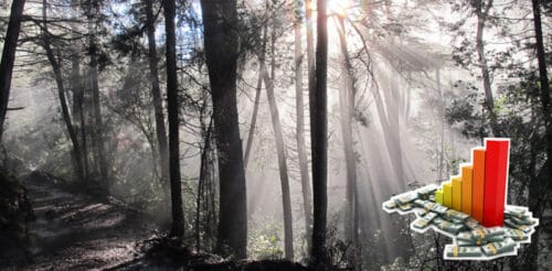 Salvar a la naturaleza, por ende a la humanidad, requiere de una gran inversión económica