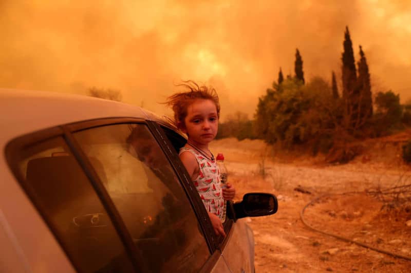 Grecia: después de los incendios