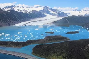 Glaciar Bear